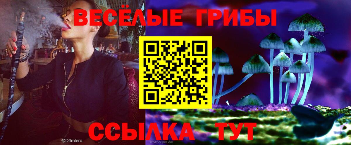 Крымск  Галлюциногенные грибы прущие грибы  Вход с VPN 